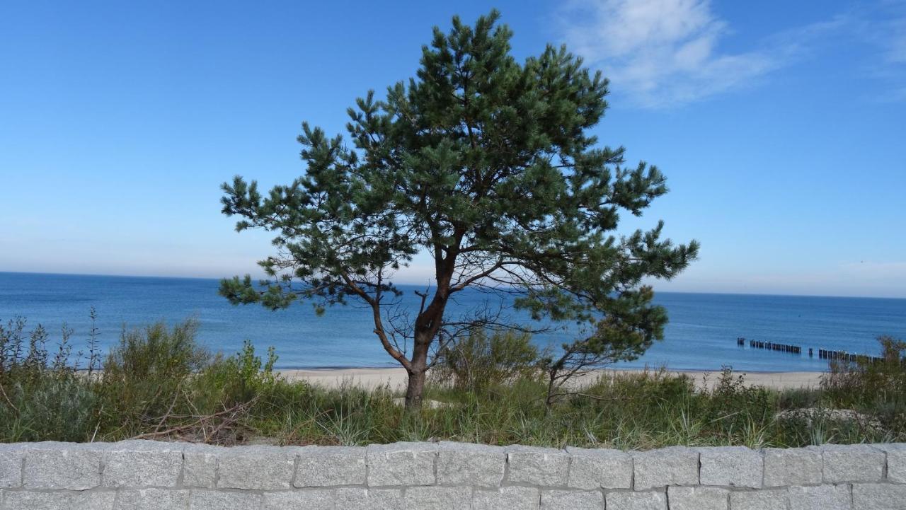 Pokoje Goscinne Muszelka 300 M Do Plazy Mielno  Exteriér fotografie
